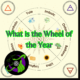 What is the Wheel of the Year?