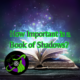 How Important is a Book of Shadows?