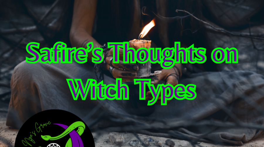 Safire’s Thoughts on “Witch Types”