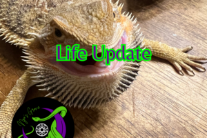 Life Update – June/July 2024