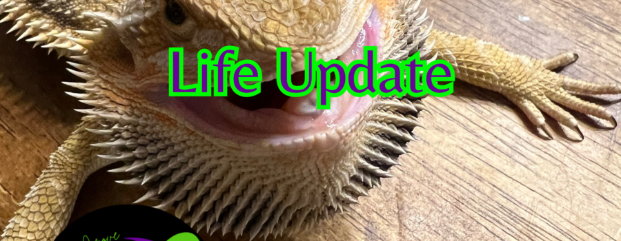 Life Update – June/July 2024